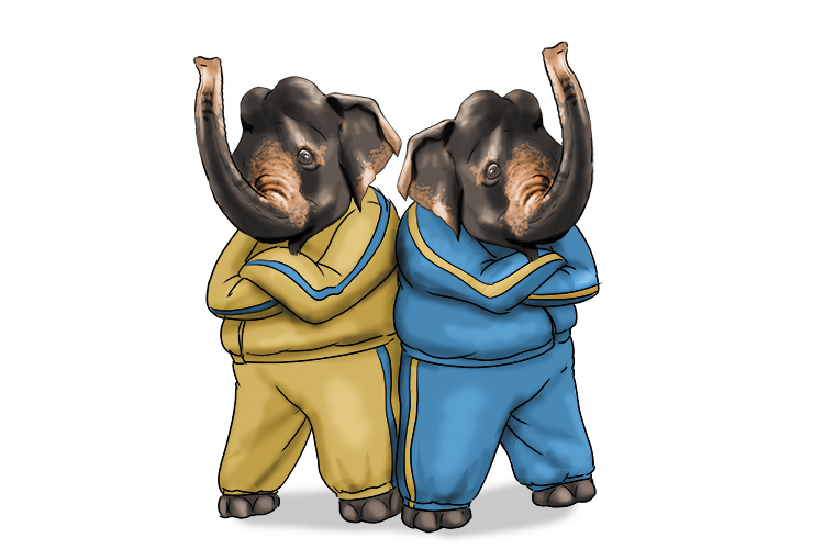 Hermano is masculine, so it's el hermano. Imagine an elephant with an identical twin brother.