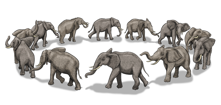 Círculo is masculine, so it's el círculo. Imagine a herd of elephants forming a circle.