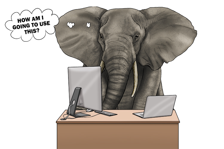 Ordenador is masculine, so it’s el ordenador. Imagine an elephant using a computer.
