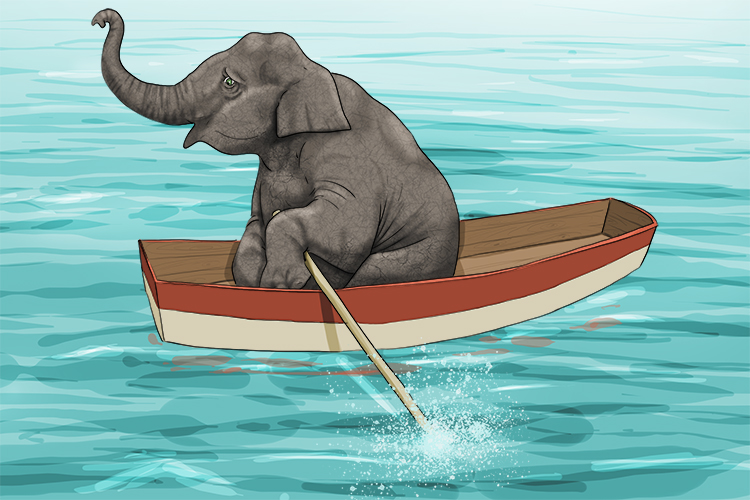 Océano is masculine so it's el océano. Imagine an elephant rowing a boat across an ocean.