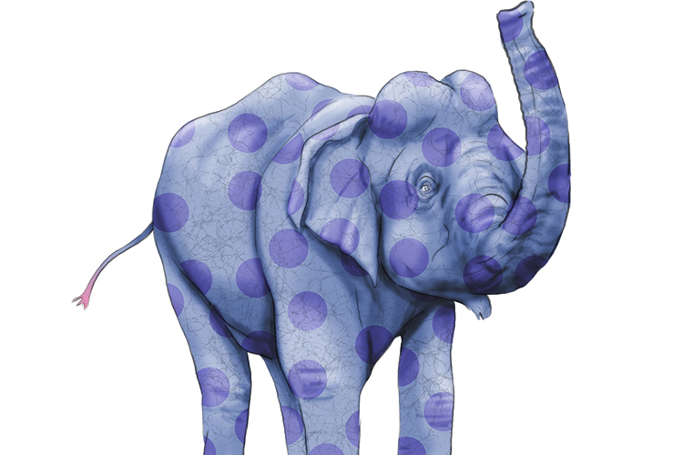 Patrón is masculine, so it's el patrón. Imagine an elephant covered in a spotty pattern.