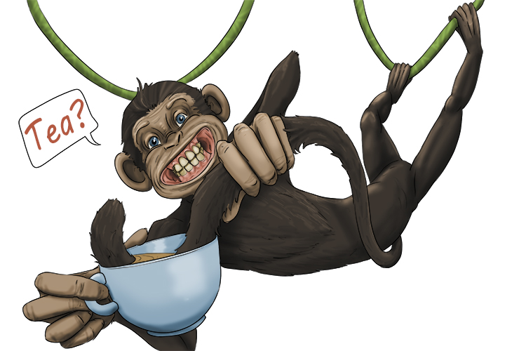 My tea tasted funny after the monkey had dangled its tail (té) in it.