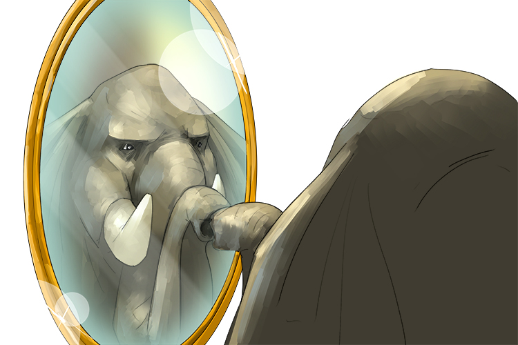 Espejo is masculine, so it's el espejo. Imagine an elephant looking at itself in a mirror.