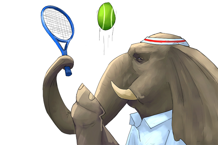 Tenis is masculine, so it's el tenis. Imagine an elephant playing tennis.