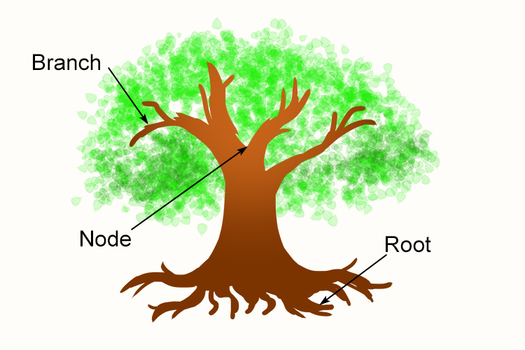 The phylogenic tree showing evolutionary relationships.