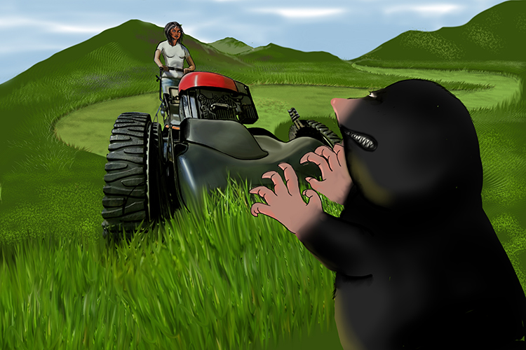 The gardener decided to mow less (molest) because she was touched and attacked by a mole every time she cut the grass.